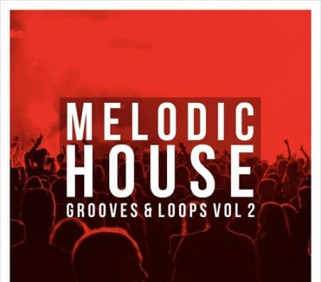 Get Down Samples Melodic House Grooves and Loops Vol.2 WAV